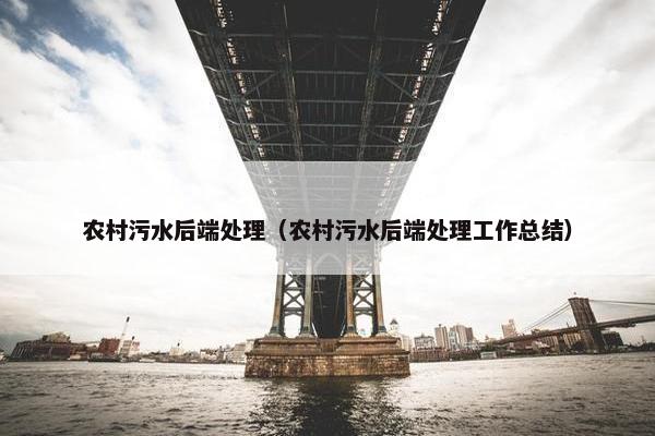 农村污水后端处理（农村污水后端处理工作总结）
