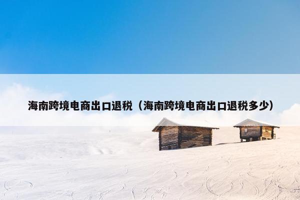 海南跨境电商出口退税（海南跨境电商出口退税多少）