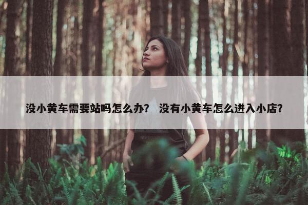 没小黄车需要站吗怎么办？ 没有小黄车怎么进入小店？