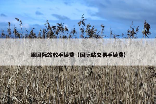 里国际站收手续费（国际站交易手续费）