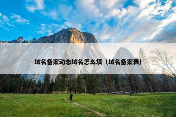 域名备案动态域名怎么填（域名备案表）