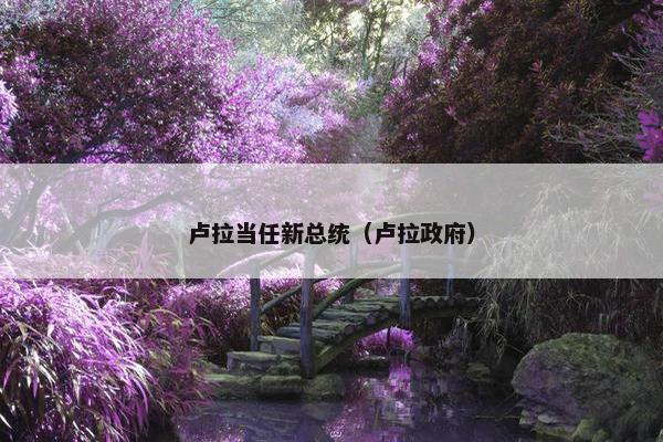 卢拉当任新总统（卢拉政府）
