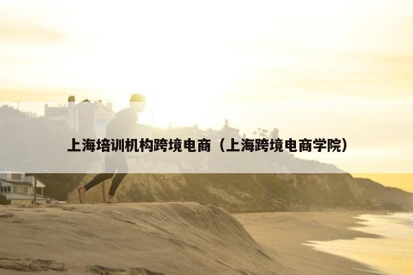 上海培训机构跨境电商（上海跨境电商学院）