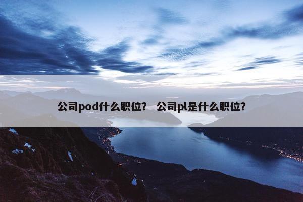 公司pod什么职位？ 公司pl是什么职位？
