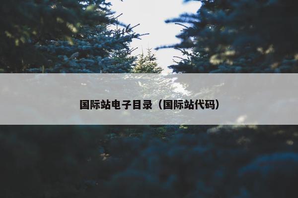 国际站电子目录（国际站代码）