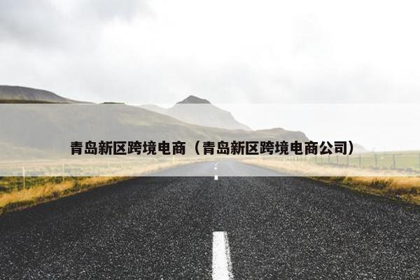 青岛新区跨境电商（青岛新区跨境电商公司）