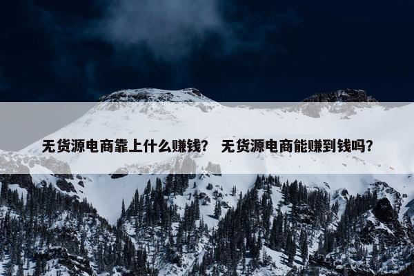 无货源电商靠上什么赚钱？ 无货源电商能赚到钱吗？