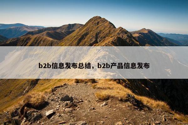 b2b信息发布总结，b2b产品信息发布