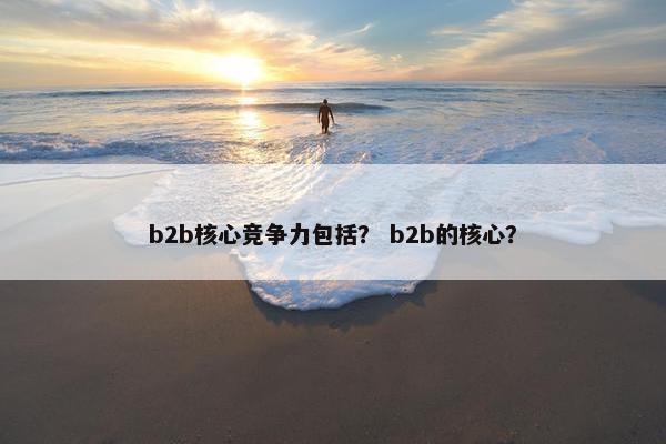 b2b核心竞争力包括？ b2b的核心？