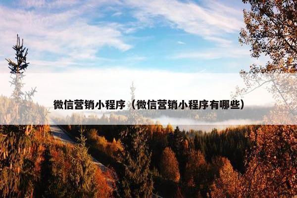 微信营销小程序（微信营销小程序有哪些）