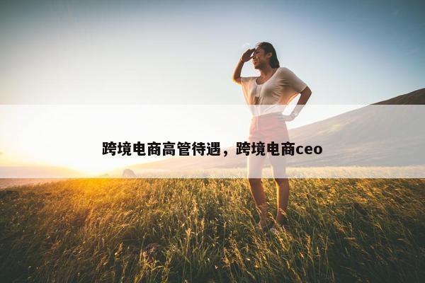 跨境电商高管待遇，跨境电商ceo