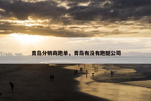 青岛分销商跑单，青岛有没有跑腿公司