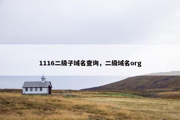 1116二级子域名查询，二级域名org
