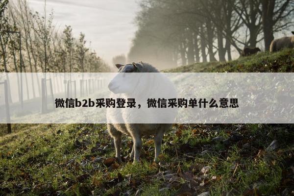 微信b2b采购登录，微信采购单什么意思