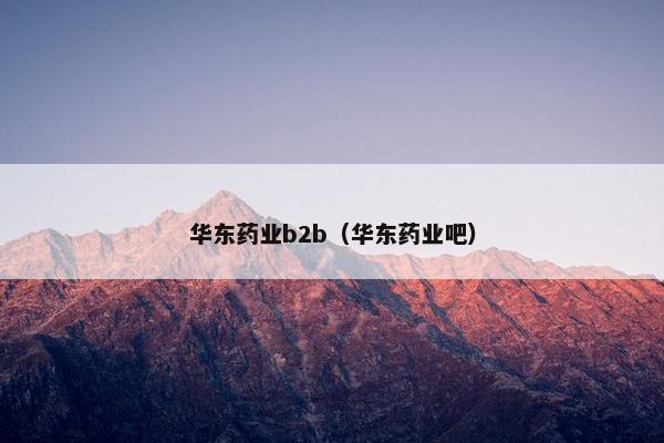 华东药业b2b（华东药业吧）