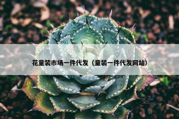 花童装市场一件代发（童装一件代发网站）