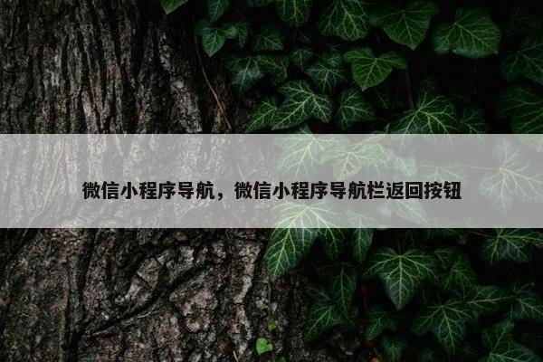 微信小程序导航，微信小程序导航栏返回按钮