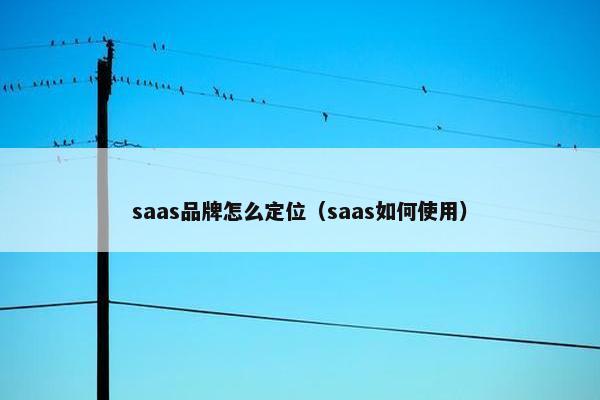 saas品牌怎么定位（saas如何使用）