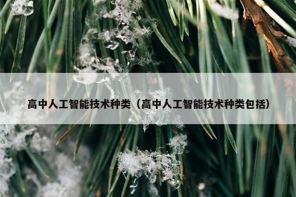 高中人工智能技术种类（高中人工智能技术种类包括）
