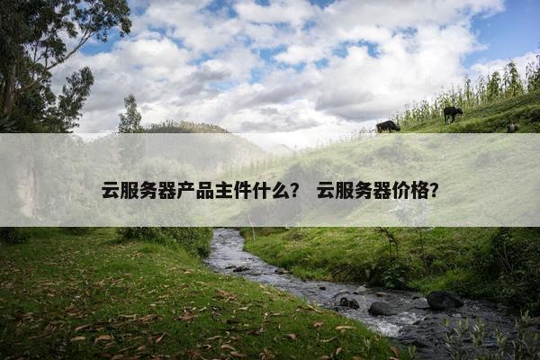 云服务器产品主件什么？ 云服务器价格？