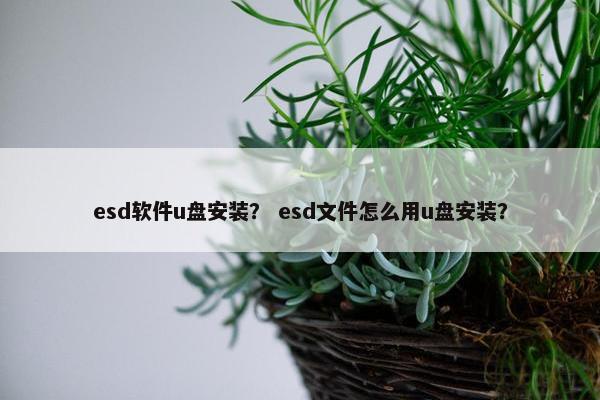 esd软件u盘安装？ esd文件怎么用u盘安装？