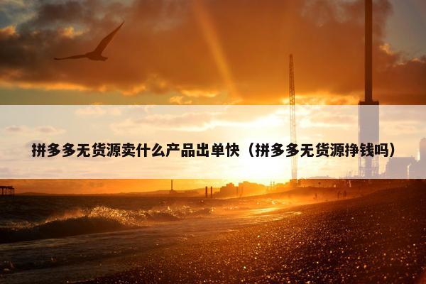 拼多多无货源卖什么产品出单快（拼多多无货源挣钱吗）