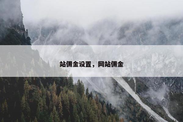 站佣金设置，网站佣金