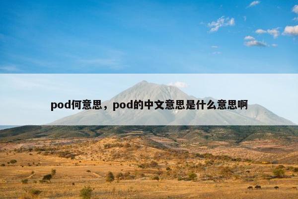 pod何意思，pod的中文意思是什么意思啊