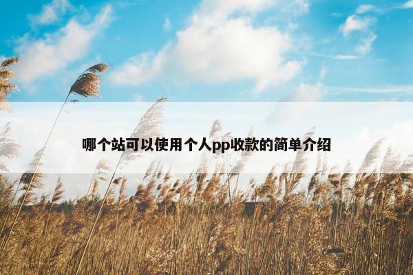 哪个站可以使用个人pp收款的简单介绍