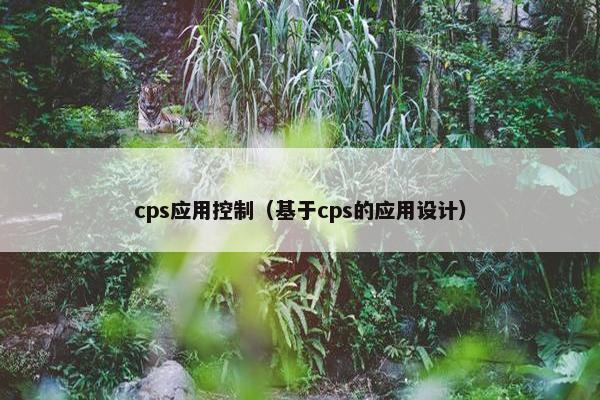 cps应用控制（基于cps的应用设计）