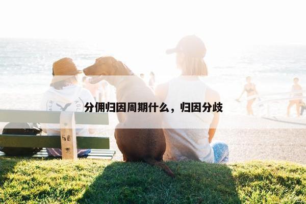 分佣归因周期什么，归因分歧