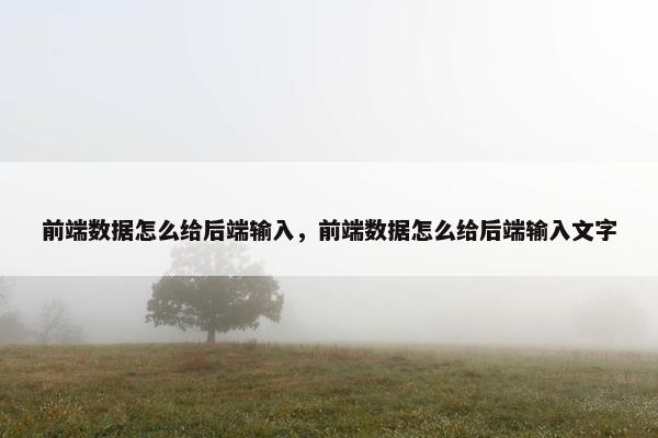 前端数据怎么给后端输入，前端数据怎么给后端输入文字