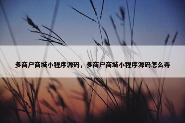 多商户商城小程序源码，多商户商城小程序源码怎么弄