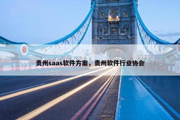 贵州saas软件方案，贵州软件行业协会