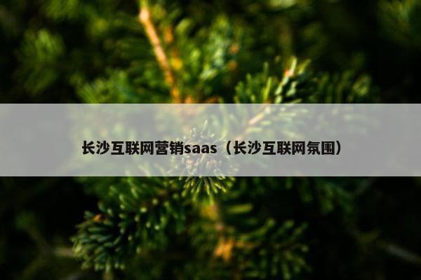 长沙互联网营销saas（长沙互联网氛围）