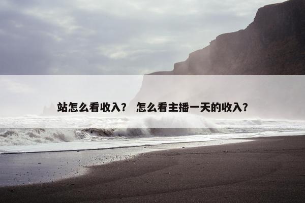 站怎么看收入？ 怎么看主播一天的收入？
