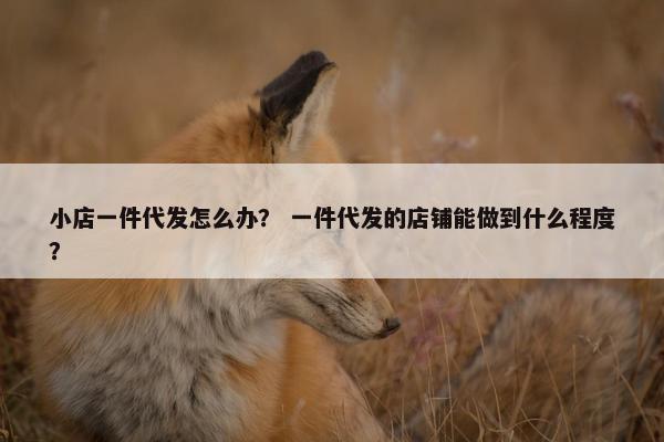 小店一件代发怎么办？ 一件代发的店铺能做到什么程度？