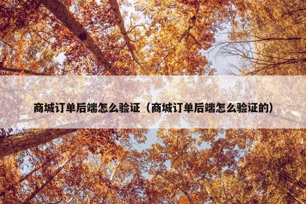 商城订单后端怎么验证（商城订单后端怎么验证的）
