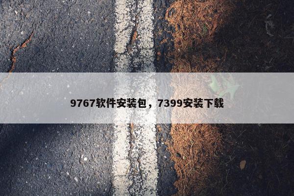 9767软件安装包，7399安装下载