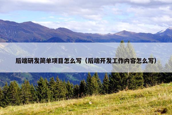 后端研发简单项目怎么写（后端开发工作内容怎么写）