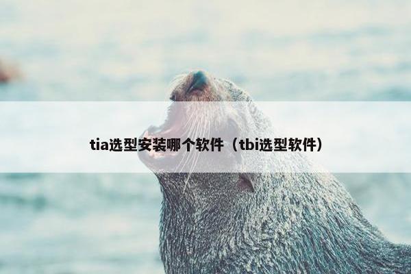 tia选型安装哪个软件（tbi选型软件）