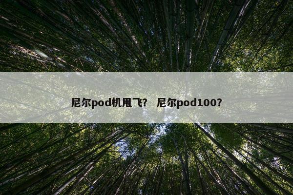 尼尔pod机甩飞？ 尼尔pod100？