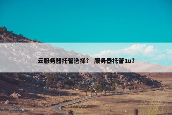 云服务器托管选择？ 服务器托管1u？