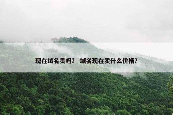 现在域名贵吗？ 域名现在卖什么价格？