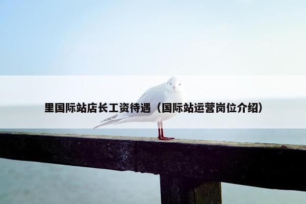 里国际站店长工资待遇（国际站运营岗位介绍）