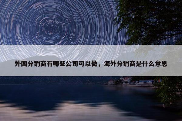 外国分销商有哪些公司可以做，海外分销商是什么意思