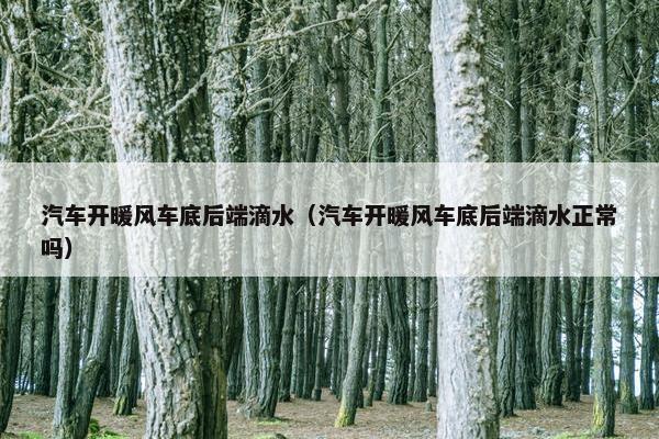 汽车开暖风车底后端滴水（汽车开暖风车底后端滴水正常吗）
