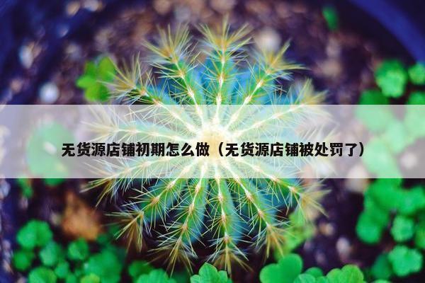 无货源店铺初期怎么做（无货源店铺被处罚了）