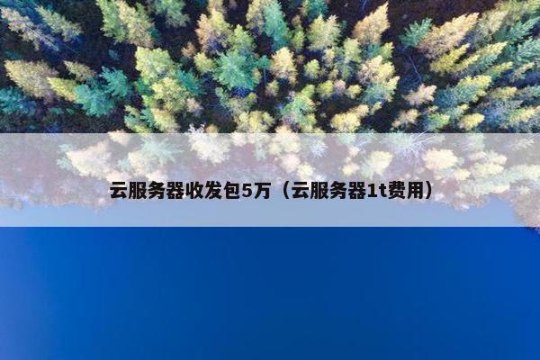 云服务器收发包5万（云服务器1t费用）