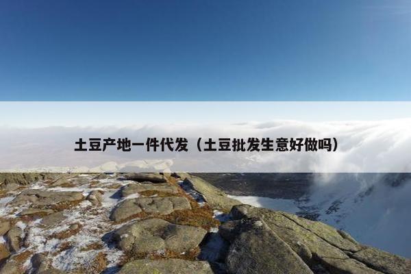 土豆产地一件代发（土豆批发生意好做吗）